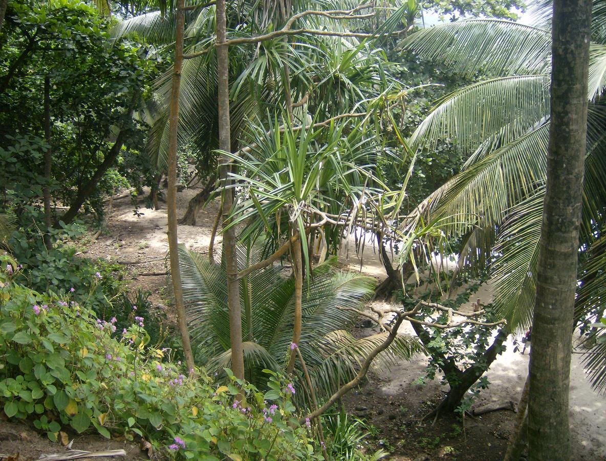 N'Guembu Nature Resort Porto Alegre Buitenkant foto